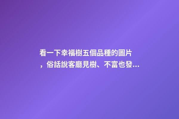 看一下幸福樹五個品種的圖片，俗話說客廳見樹、不富也發!8種吉祥樹